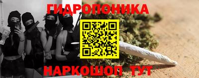 СК Кимры
